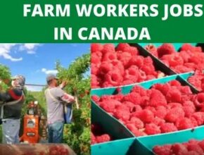 Farm Jobs in Canada